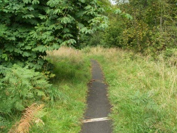 Image on trail